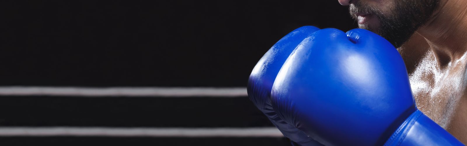Bulk cheap boxing gloves