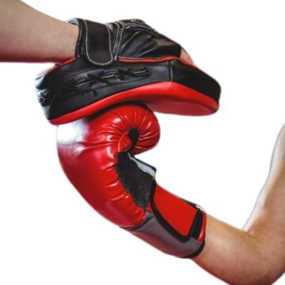 boxing accessories manufacturers